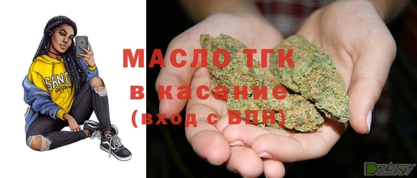 гашик Надым