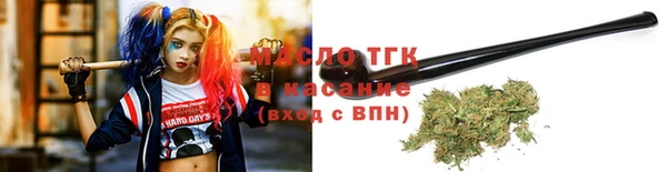 тгк Бородино