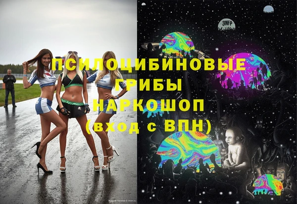 гашик Надым