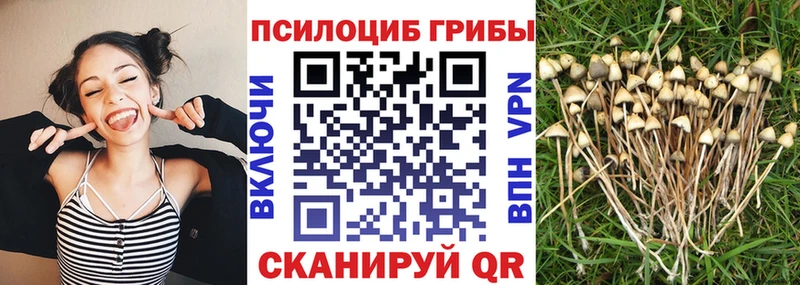 Псилоцибиновые грибы ЛСД  Уяр 